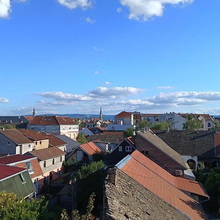 Amarilis Apartment Novi Sad Exteriér fotografie